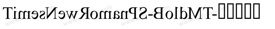 TimesNewRomanPS-BoldMT字体转换