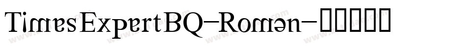 TimesExpertBQ-Roman字体转换