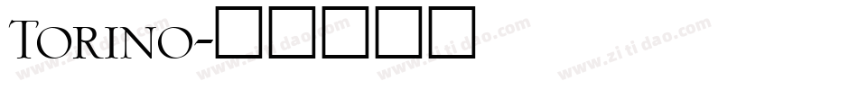 Torino字体转换