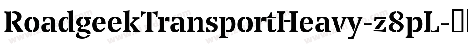 RoadgeekTransportHeavy-z8pL字体转换