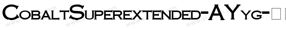 CobaltSuperextended-AYyg字体转换