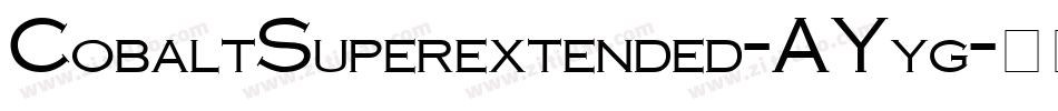 CobaltSuperextended-AYyg字体转换