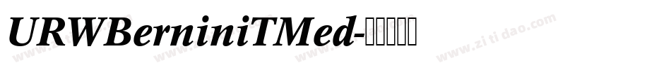 URWBerniniTMed字体转换