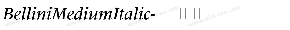 BelliniMediumItalic字体转换