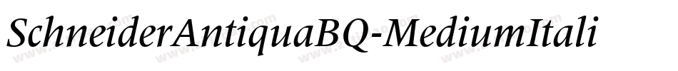 SchneiderAntiquaBQ-MediumItalic字体转换