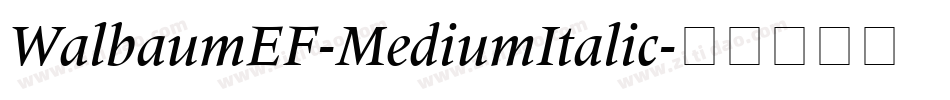 WalbaumEF-MediumItalic字体转换