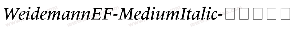 WeidemannEF-MediumItalic字体转换