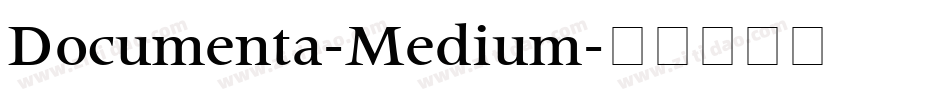 Documenta-Medium字体转换
