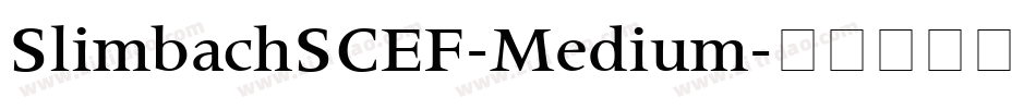 SlimbachSCEF-Medium字体转换