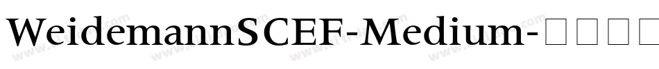 WeidemannSCEF-Medium字体转换