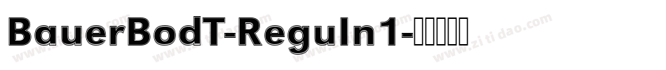 BauerBodT-ReguIn1字体转换
