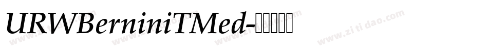 URWBerniniTMed字体转换