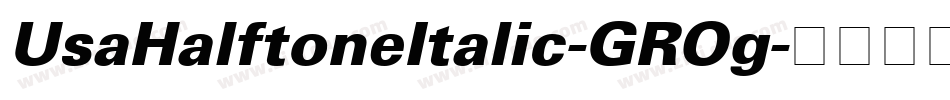 UsaHalftoneItalic-GROg字体转换