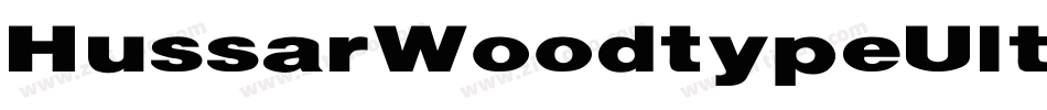 HussarWoodtypeUltrablackOblique-awWE字体转换