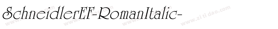 SchneidlerEF-RomanItalic字体转换