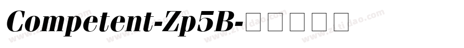 Competent-Zp5B字体转换