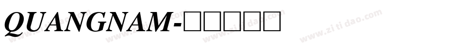 QUANGNAM字体转换
