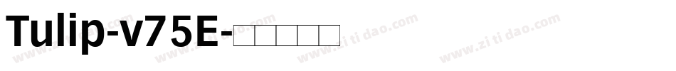 Tulip-v75E字体转换