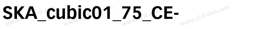 SKA_cubic01_75_CE字体转换