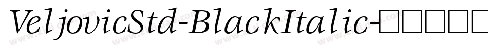 VeljovicStd-BlackItalic字体转换