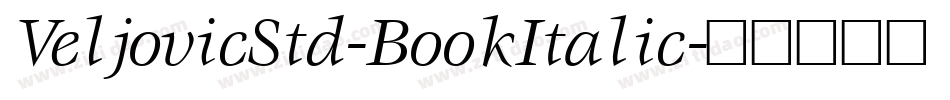 VeljovicStd-BookItalic字体转换