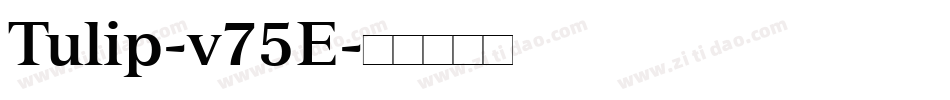 Tulip-v75E字体转换
