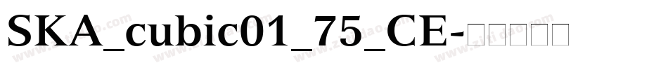 SKA_cubic01_75_CE字体转换