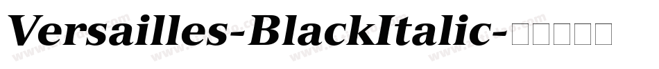 Versailles-BlackItalic字体转换