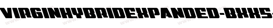 VirginHybridExpanded-BxX5字体转换