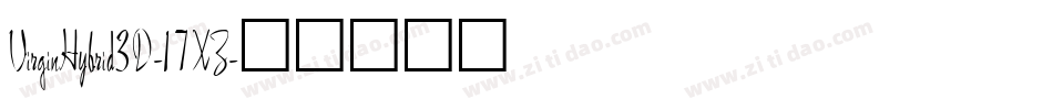 VirginHybrid3D-17XZ字体转换