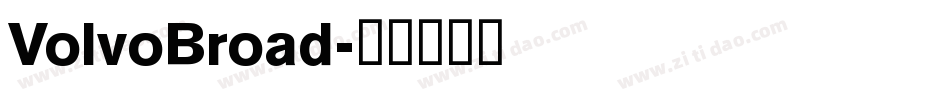 VolvoBroad字体转换