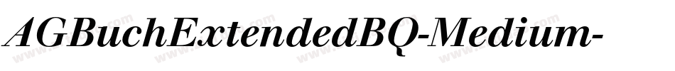 AGBuchExtendedBQ-Medium字体转换