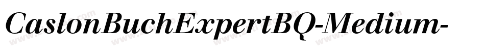 CaslonBuchExpertBQ-Medium字体转换