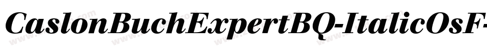 CaslonBuchExpertBQ-ItalicOsF字体转换