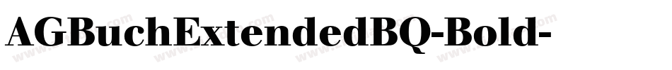 AGBuchExtendedBQ-Bold字体转换
