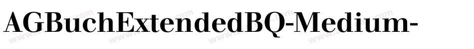 AGBuchExtendedBQ-Medium字体转换