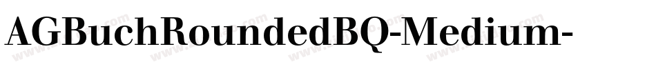 AGBuchRoundedBQ-Medium字体转换