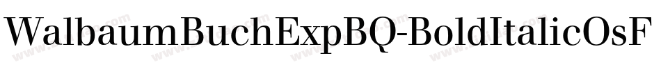 WalbaumBuchExpBQ-BoldItalicOsF字体转换