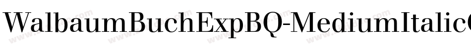 WalbaumBuchExpBQ-MediumItalicOsF字体转换