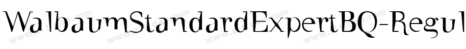 WalbaumStandardExpertBQ-Regular字体转换