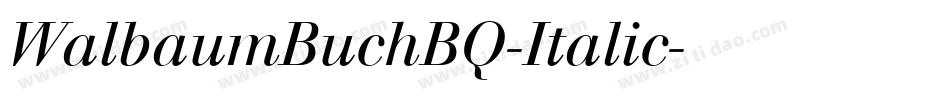 WalbaumBuchBQ-Italic字体转换