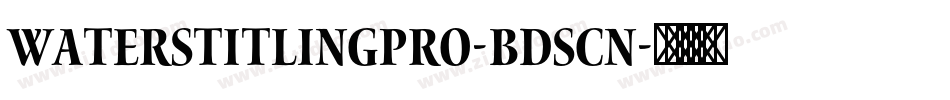 WatersTitlingPro-BdScn字体转换