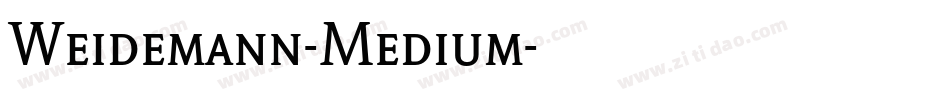 Weidemann-Medium字体转换