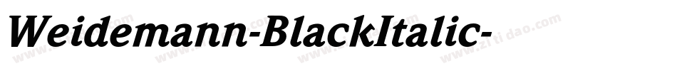 Weidemann-BlackItalic字体转换