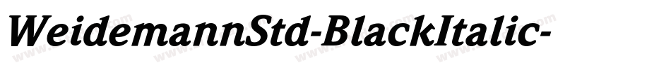 WeidemannStd-BlackItalic字体转换
