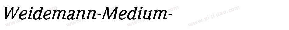 Weidemann-Medium字体转换