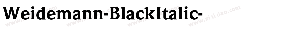Weidemann-BlackItalic字体转换