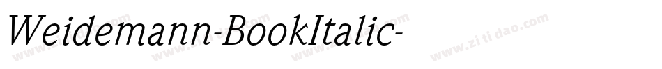 Weidemann-BookItalic字体转换