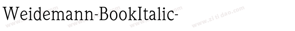 Weidemann-BookItalic字体转换