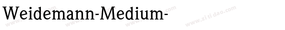 Weidemann-Medium字体转换